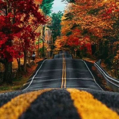 万博max体育官网