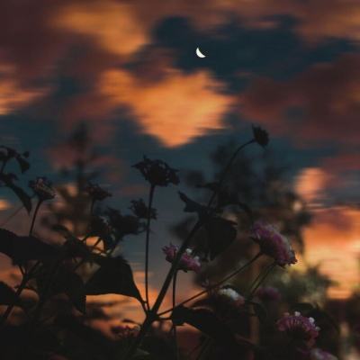 722cc大发彩神app下载截图